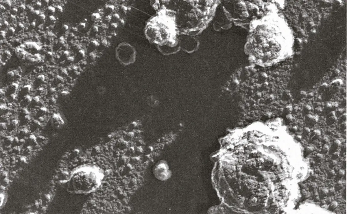 Fig 2 7